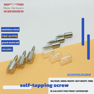 Customized Self-Tapping Screws and Partition Plate Support Nails for Fixed Support of Wardrobe Cabinets OEM Available